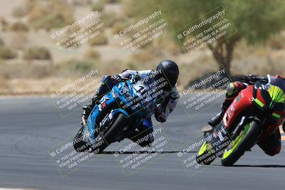 media/May-14-2023-SoCal Trackdays (Sun) [[024eb53b40]]/Turn 5 Tree of Life (1125am)/